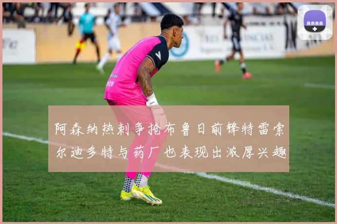 阿森纳热刺争抢布鲁日前锋特雷索尔迪多特与药厂也表现出浓厚兴趣