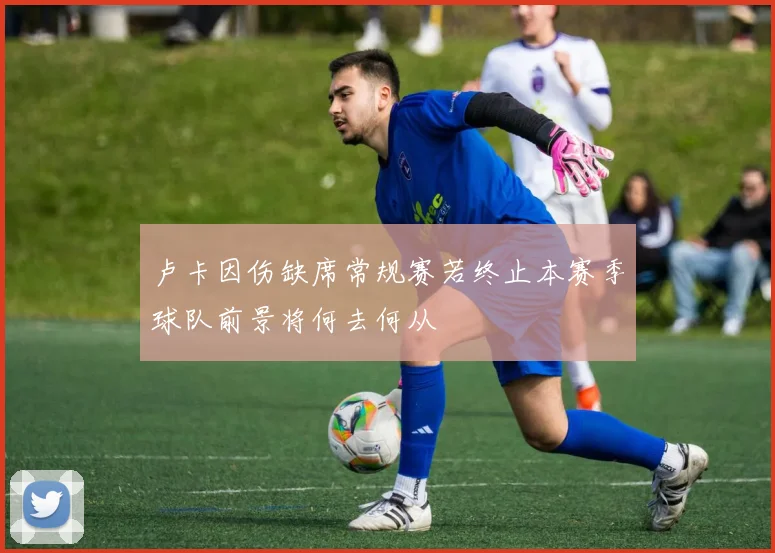 卢卡因伤缺席常规赛若终止本赛季球队前景将何去何从