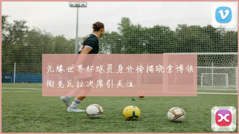 无缘世界杯球员身价榜揭晓索博领衔克瓦拉次席引关注