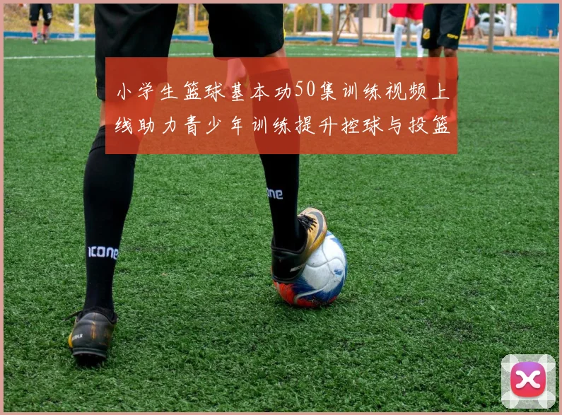 小学生篮球基本功50集训练视频上线助力青少年训练提升控球与投篮基础