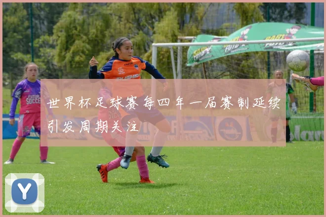 世界杯足球赛每四年一届赛制延续引发周期关注